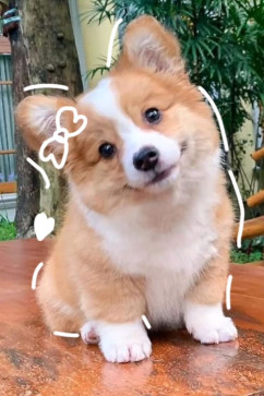 Lim Jin, 30, United Kingdom