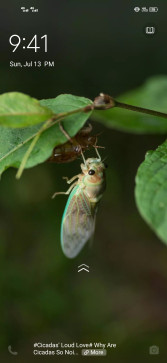 Vikas Rawat, 18, India