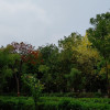 Dev Chauhan