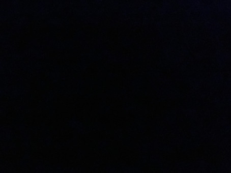 Rafa, 18, United States