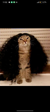 Mohammad Hossam, 18, Egypt