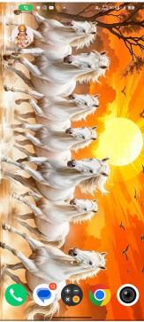 Amit Yadav, 24, India