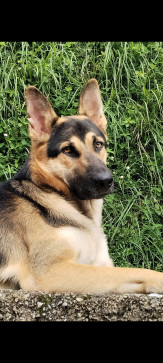 AMIT JOSHI, 24, India