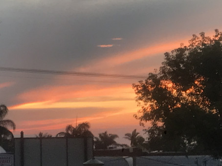 Stormers1977, 48, South Africa