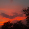 lakshaydhamenia