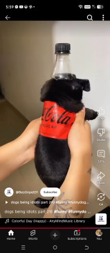 Jake898, 22, Philippines