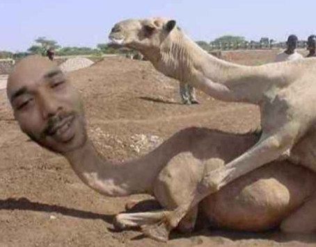 Sane, 29, Uzbekistan