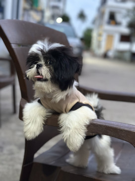 Parth Kalathiya Info, 18, India