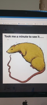 Jason Kemsworth, 18, India