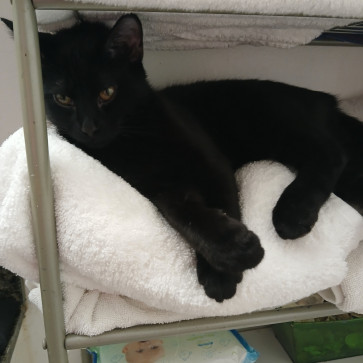 Joseph, 20, United States