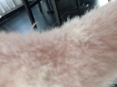 Tendai Stella, 18, Zimbabwe