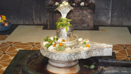 7758845589, 27, India