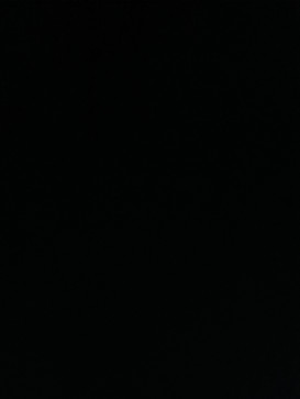 Rubayed Hussain, 22, Saudi Arabia