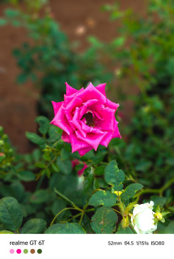 Sonu Rajput, 30, India