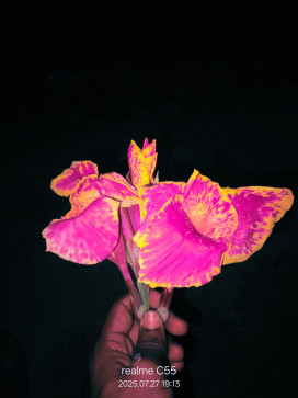 Shivam, 19, India