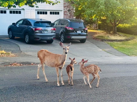 Talha Zishaan, 28, India