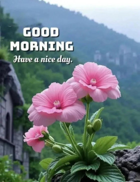 Annuar Annuar2020, 26, India