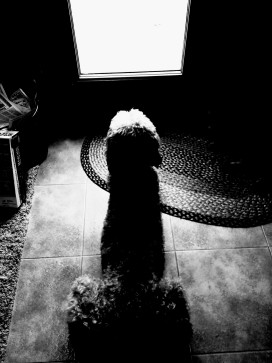 Karim Kiko, 25, Algeria