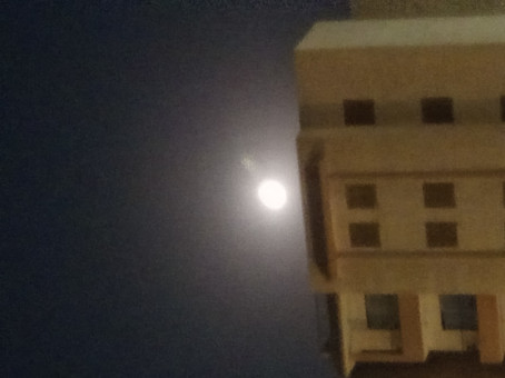 Badr Mohamed, 18, Egypt