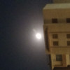 Badr Mohamed
