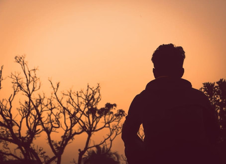 Falcon, 21, India