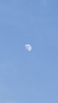 Rohit Sursaut, 19, India