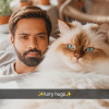 Ved