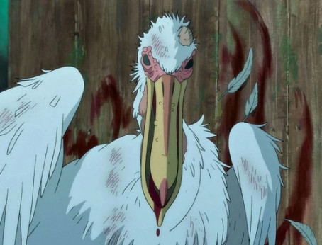 Pelican, 22, India
