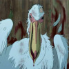 pelican