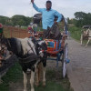 Umair zaid