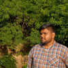 Kishu