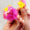 shruti