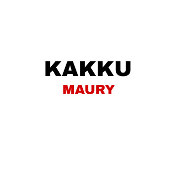 Kakku, 18, India