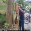 Asim Samanta