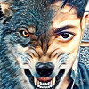 Rohan mishra