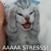 stressed