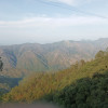 Neeraj