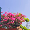 Vinit Prajapait