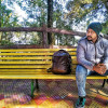 Raj Paul