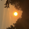 Siddarth