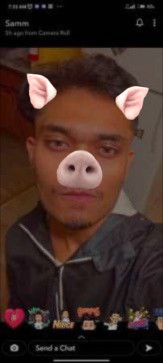 Criminal Piig, 18, India