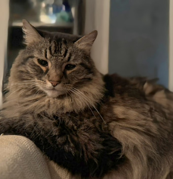 Bevie, 27, United States