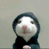 Himanshu