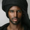 Sudanese Lion