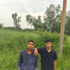 Raza Turk