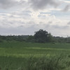 Irshad Shaikh
