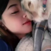 Lilyvii