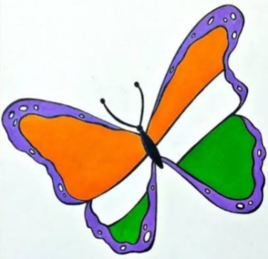 Indian Butterfly, 45, India