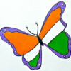 Indian butterfly