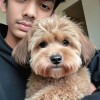 Zaffar